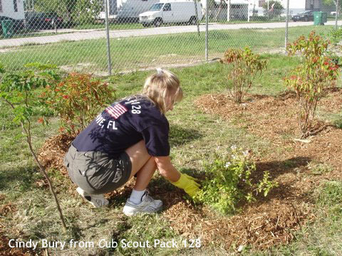 Staunch volunteer Cindy Bury working on plantings